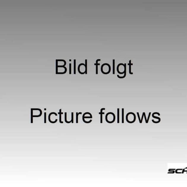 AC Schnitzer painting rear roof wing